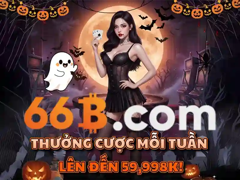 Hợp Tác Đại Lý 66B