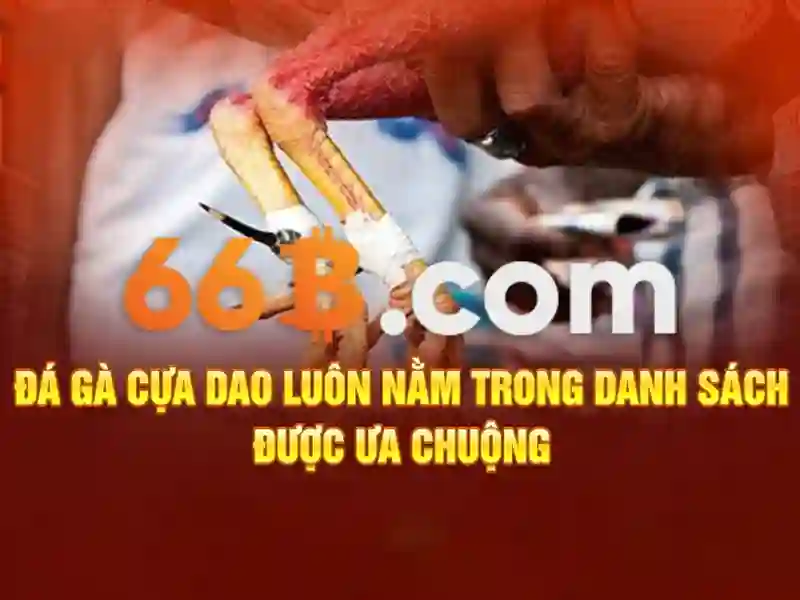 66B – Nhà Cái SLOT Đẳng Cấp Tận Hưởng Trải Nghiệm 2026