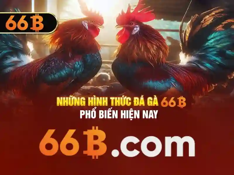 Đăng ký 66B
