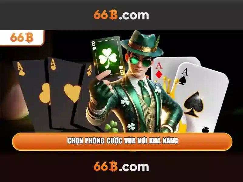 điều khoản sử dụng 66B