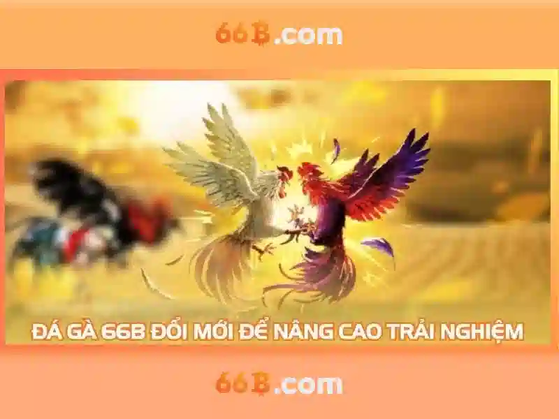 Về Chúng Tôi 66B – Nhà Cái Uy Tín Hàng Đầu Trong Lĩnh Vực SLOT