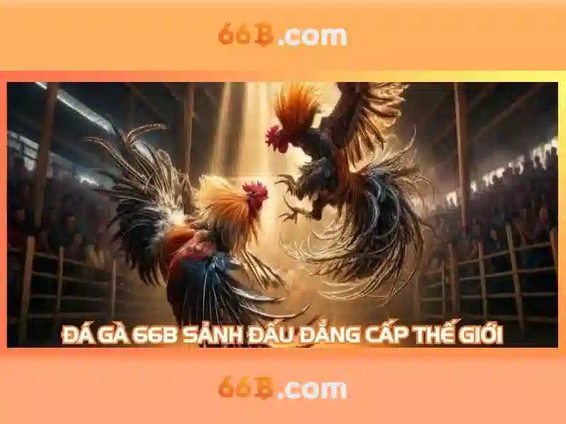 Trải nghiệm cờ tướng 66B