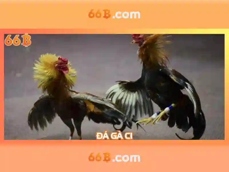 Trải nghiệm Slot 66B