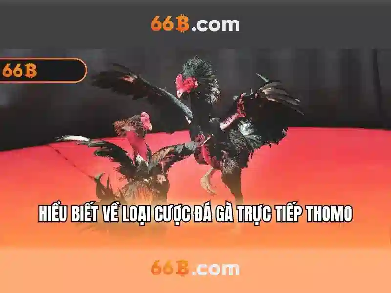 Đảm bảo đăng xuất 66B an toàn và nhanh chóng
