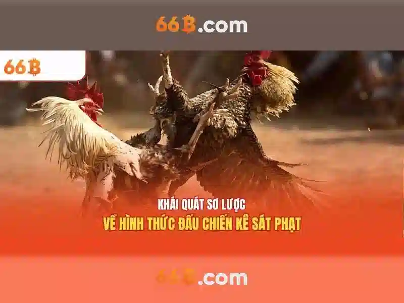 Khuyến Mãi Thường Xuyên