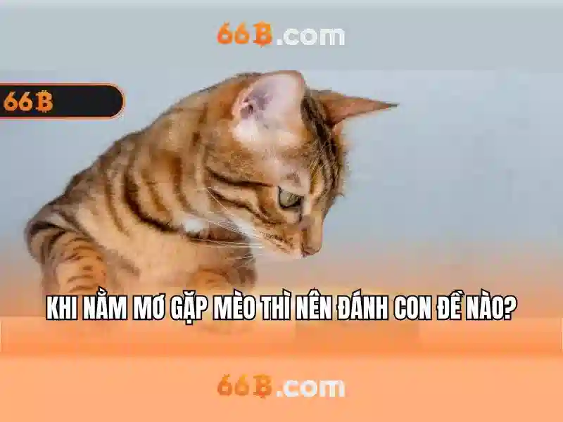 cờ tướng 66B