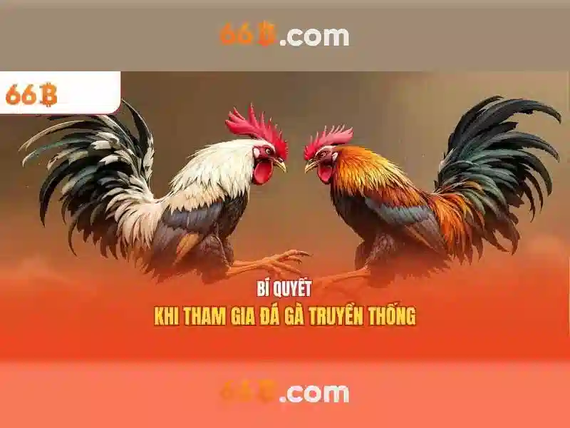 Ưu Đãi 66B – Trải Nghiệm Cá Cược Đỉnh Cao Trên Mọi Lúc Mọi Nơi