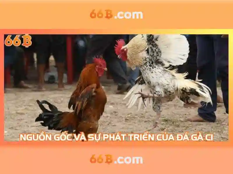 Nạp rút siêu tốc 66B Club