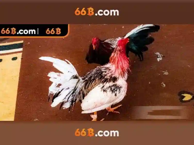 Trải Nghiệm Slot 66B