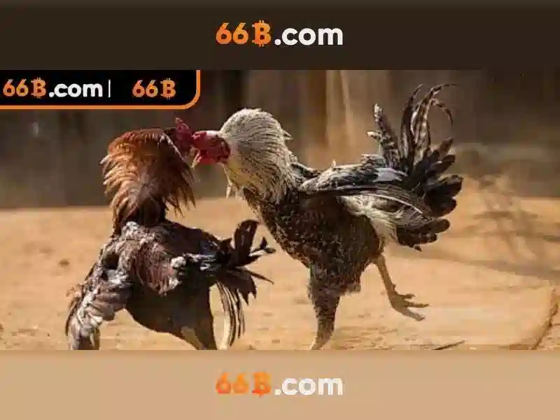 Trải Nghiệm Phỏm 66B Độc Quyền