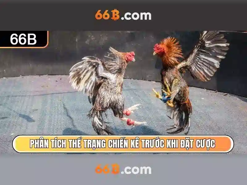 Chương Trình 66B Tặng Tiền
