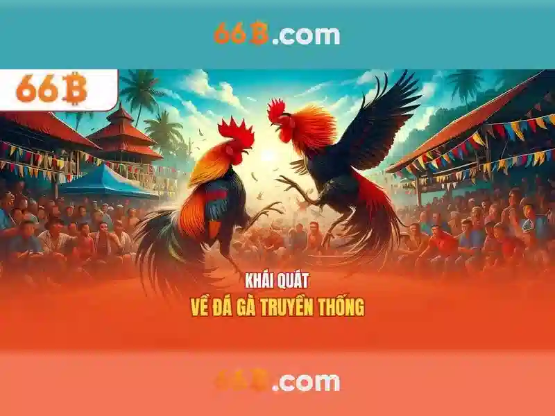 Ưu điểm đăng ký 66B