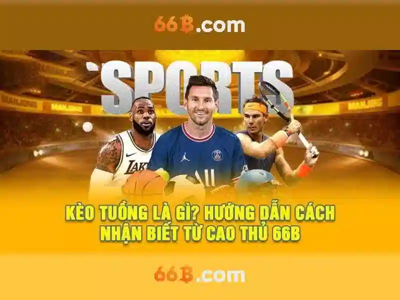 Chính sách hoàn tiền 66B hấp dẫn