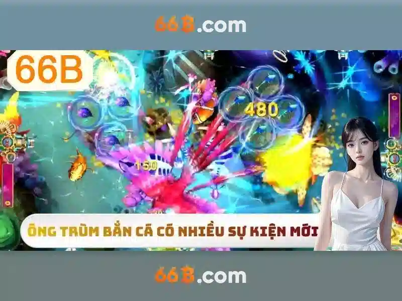 Lý Do Chọn 66B