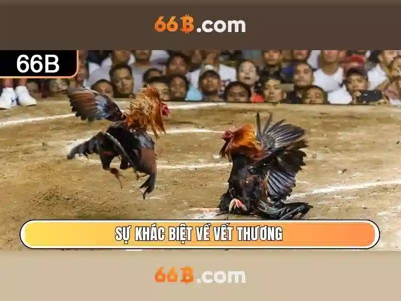 Khuyến Mãi 66b
