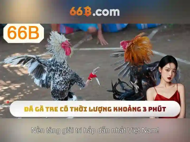 Giới Thiệu 66B