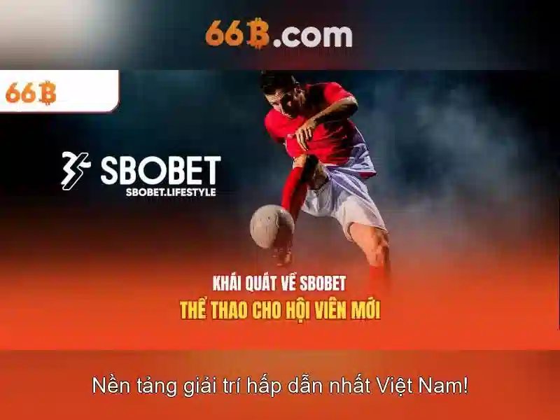 Giới Thiệu Về 66B Chính Thức