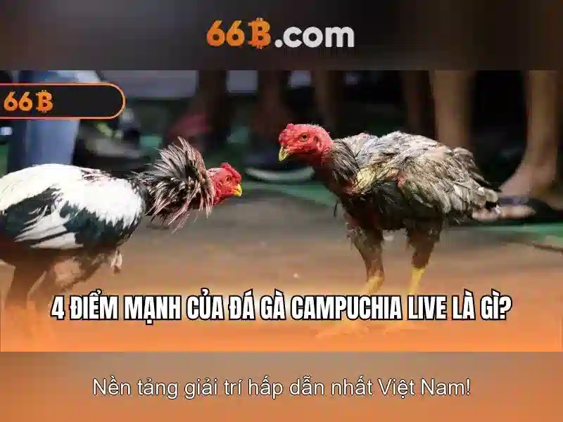 xóc đĩa 66b
