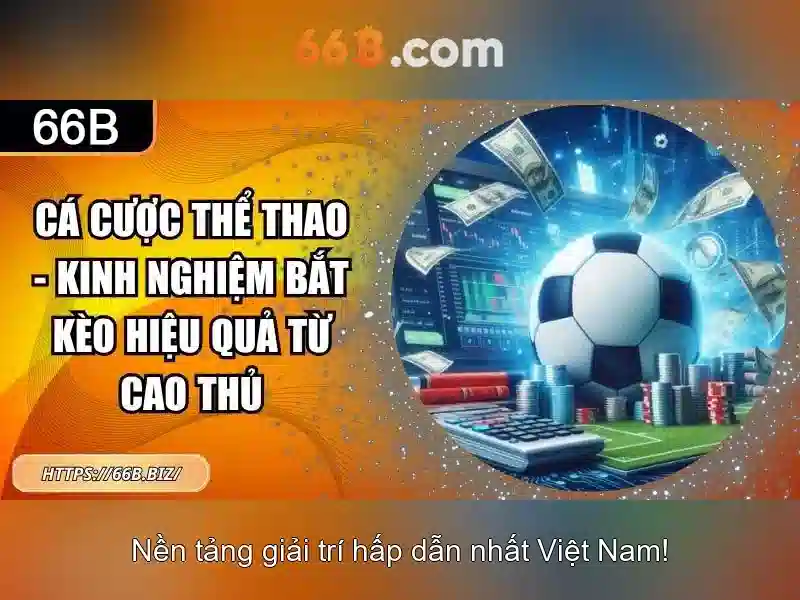 Đăng ký 66B