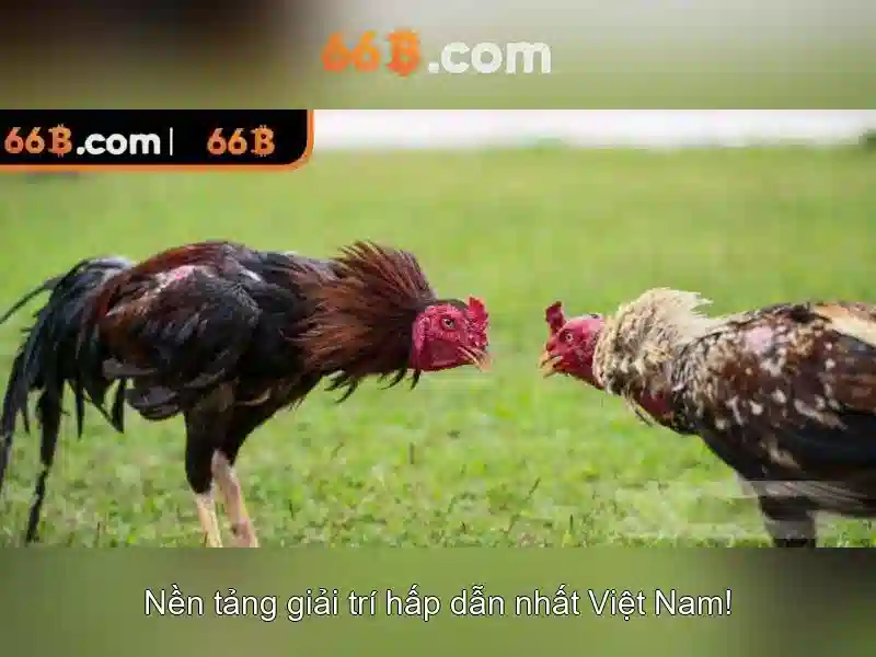 66B – Giao Dịch Slot Đảm Bảo An Toàn