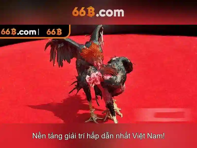 Khuyến mãi 66B không bị chặn