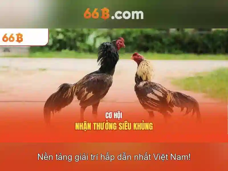 Chương Trình Khuyến Mãi Đại Lý 66B
