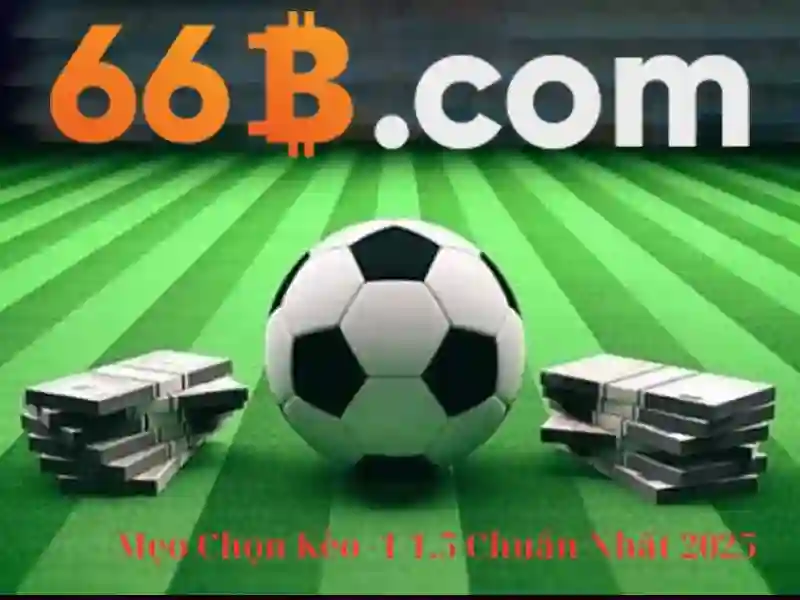 Chính Sách 66B