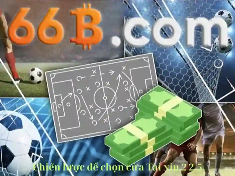 Hệ Thống Hỗ Trợ 24/7 Tại 66B