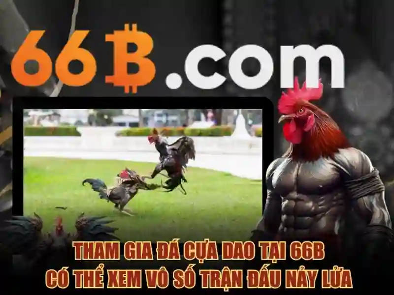 66B App – Ưu Điểm Slot Đa Dạng